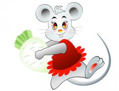 属兔男女的属相婚配表