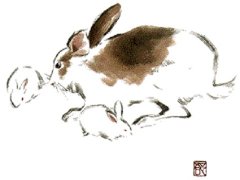 1987年属兔的最佳配偶属相 87年属兔的和什么生肖最配