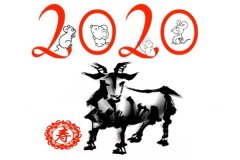 属羊的今年多大2020年 属羊的2020年几岁了