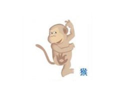 寅时出生的属猴人命运如何
