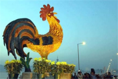属鸡人养什么花旺财又转运