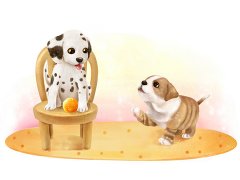 属狗的出生年份 生肖狗是哪一年