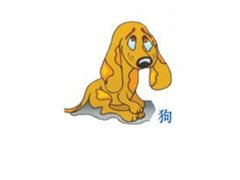 寅时出生的属狗人命运如何