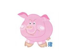 寅时出生的属猪人命运如何