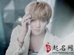 属狗人适合佩戴什么