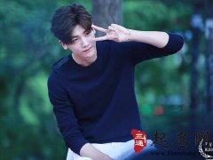 属狗的人2018年幸运色和幸运数字