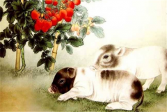 属猪人养什么花旺财又转运