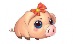 属猪2019年下半年运势