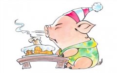 2019年属猪的几月出生最好，19年属猪人一生命运如何