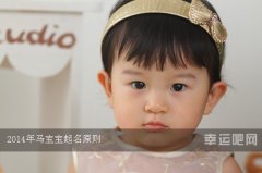 2014年马宝宝起名原则