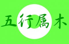 五行缺木会怎么样_五行缺木的人需要注意什么