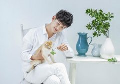 双子座男生如何展示自己的魅力